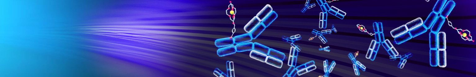 Clarity Receives US FDA response on its Theranostic Investigational New  Drug (IND) Application that the study may proceed - Clarity Pharmaceuticals  - Radiopharmaceutical Therapies and Imaging